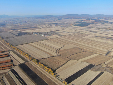 “要建好，更要管好、用好”——高標準農(nóng)田建設觀察